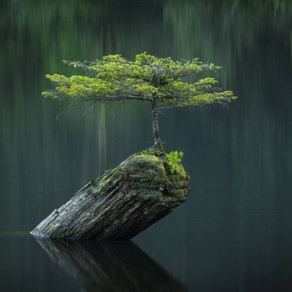 Meet your Posher, Minh ngọc